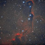 IC1396 Nébuleuse de la trompe d'éléphant dans Céphée